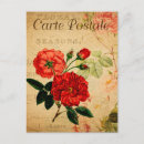 Search for vintage rose postcards French