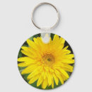 Search for gerber photography Daisy