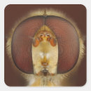 Search for hover stickers Animal