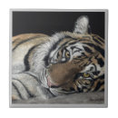 Search for tiger face tiles Big cat