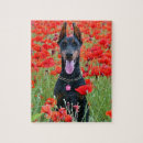 Search for dobby gifts Puppy