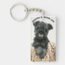 Search for miniature schnauzer key rings Pets