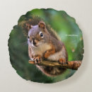 Search for red squirrel cushions Forest