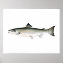 Search for salmon fish posters Fishing