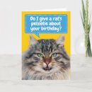 Search for maine coon cat birthday cards Funny