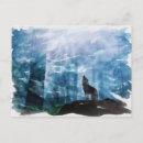 Search for wild wolves postcards Nature