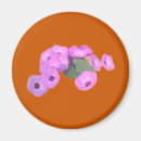 Search for glory magnets Green