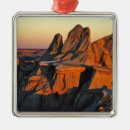 Search for badlands national park christmas tree decorations Scenic