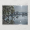 Search for two trees postcards Lake