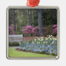 Search for border christmas tree decorations Nature