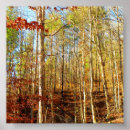 Search for woodland birthday posters Trees