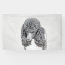 Search for standard poodle posters Puppy