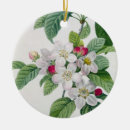Search for apples christmas tree decorations French