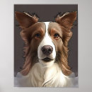 Search for collie pet posters Canine