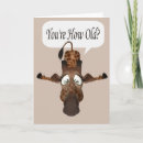 Search for funny giraffe Happy birthday