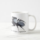 Search for spiders mugs Animals