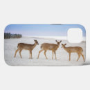 Search for cutest iphone cases Fawn