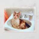 Search for impressionist postcards Cat