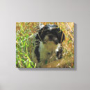 Search for shih tzu art Black