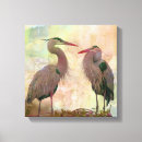 Search for heron canvas prints Birds