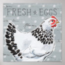 Search for bird egg posters Animals