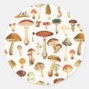 Search for mushrooms stickers Fall