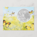 Search for butterfly garden postcards Nature