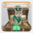 Search for sts stickers Cat
