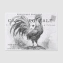 Search for chicken tissue paper French