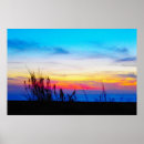 Search for ocean rainbow art California