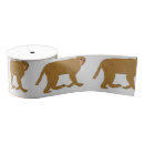 Search for jungle animals ribbon Wildlife