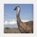 Search for western magnets Wildlife
