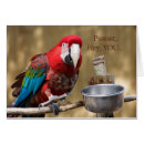 Search for fowl photography Bird