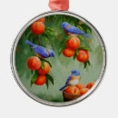 Search for blue bird christmas tree decorations Birds