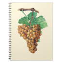 Search for grapes notebooks Watercolor