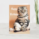 Search for funny cat cards Pet