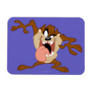 Search for taz magnets Looney toones devil