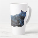 Search for shorthair mugs Cat