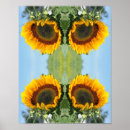 Search for sunshine flower posters Nature