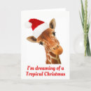 Search for funny giraffe christmas cards Cute