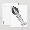 Search for squid postcards Drawing