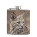 Search for carnivore barware Animal