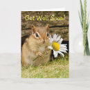 Search for baby get well cards Cute