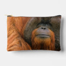 Search for borneo bags Pongo pygmaeus