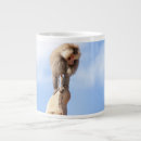 Search for baboons mugs Monkey