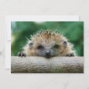 Search for smiling thank you cards Animal