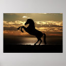 Search for equine silhouette art Sunset