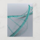 Search for molecular postcards Research