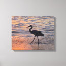 Search for heron canvas prints Birds