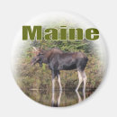 Search for maine magnets Animals